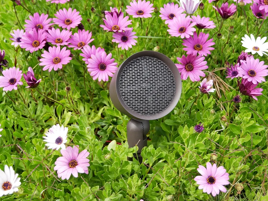 Sonance Garden Series 01