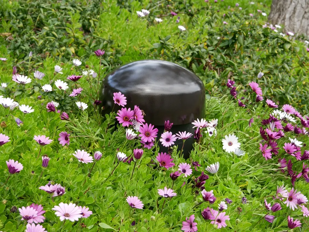 Sonance Garden Series 03
